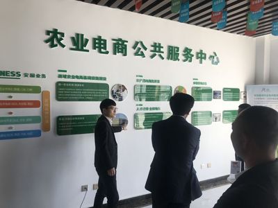 經(jīng)典電商化開發(fā) 