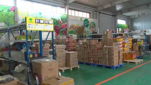 奇臺(tái)縣政協(xié)視察電子商務(wù)工作，推動(dòng)服務(wù)升級(jí)賦能縣域發(fā)展